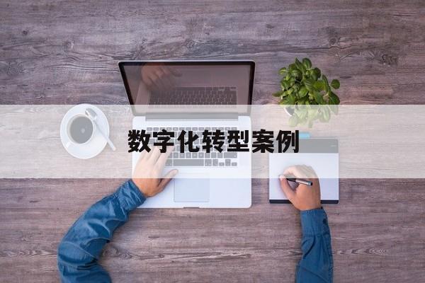 数字化转型案例(数字化转型案例公司)阳泉市 数字化转型案例(数字化转型案例公司)阳泉市